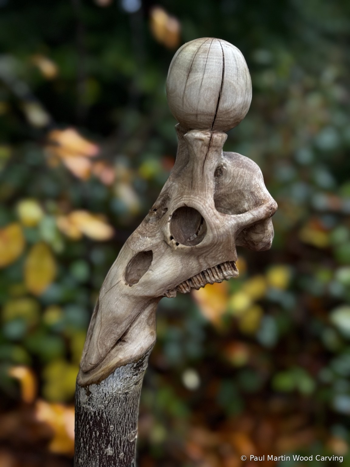 Carved giraffe skull walking stick
