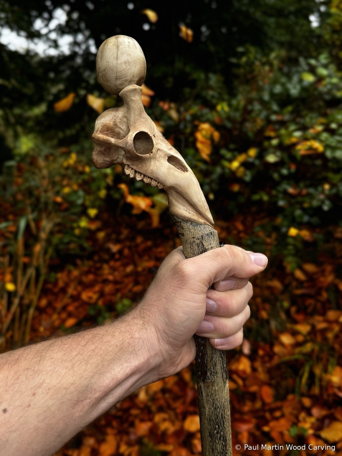 Carved giraffe skull stick held outdoors