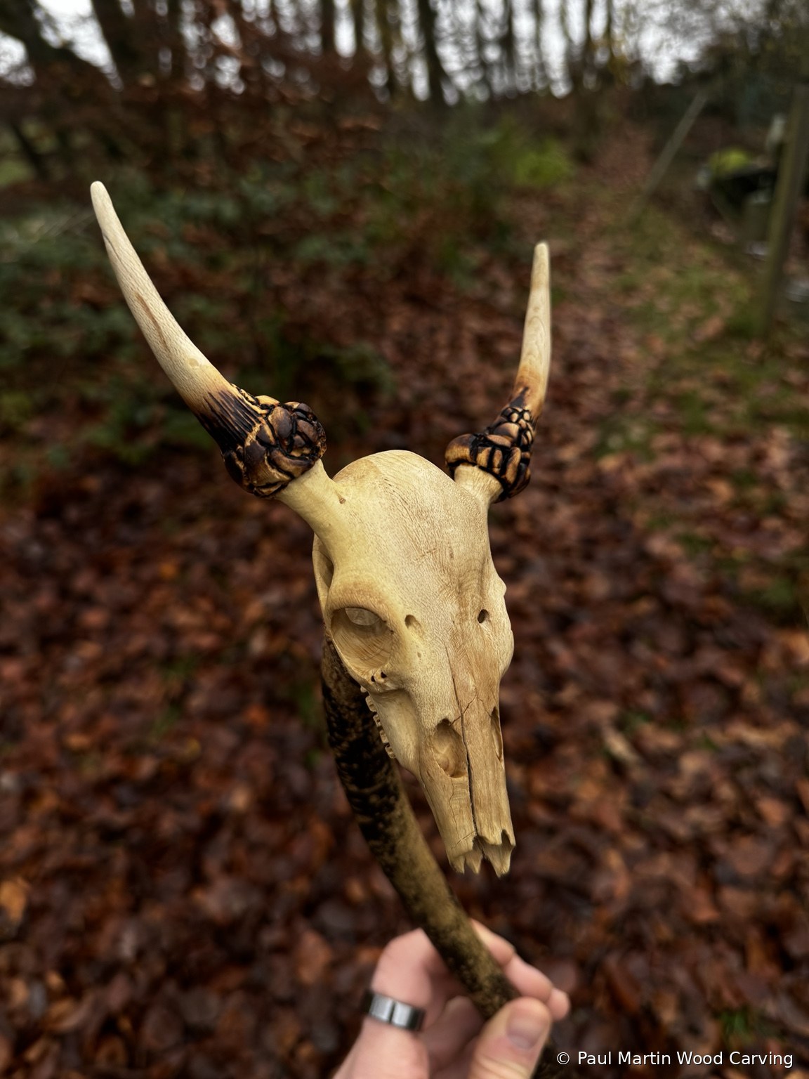 Carved horned skull walking stick