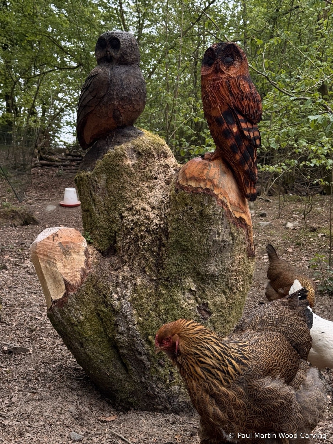 Pair of carved owls in woodland